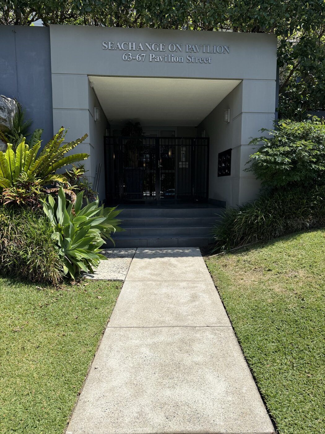 After pressure cleaning — concrete pathway restored at Queenscliff